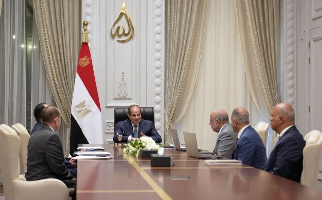السيسي يوجه بتنمية التصنيع المحلي في صناعات الرمال السوداء والعناصر الأرضية النادرة