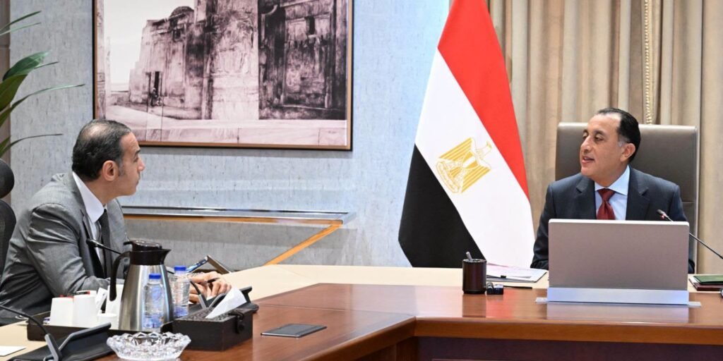مدبولي يبحث مع رئيس الرقابة المالية تطورات القطاع غير المصرفي وحماية المتعاملين