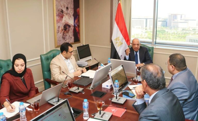 مصر تمضي نحو تحرير سوق الكهرباء تدريجيًا وتعزيز مشاركة القطاع الخاص